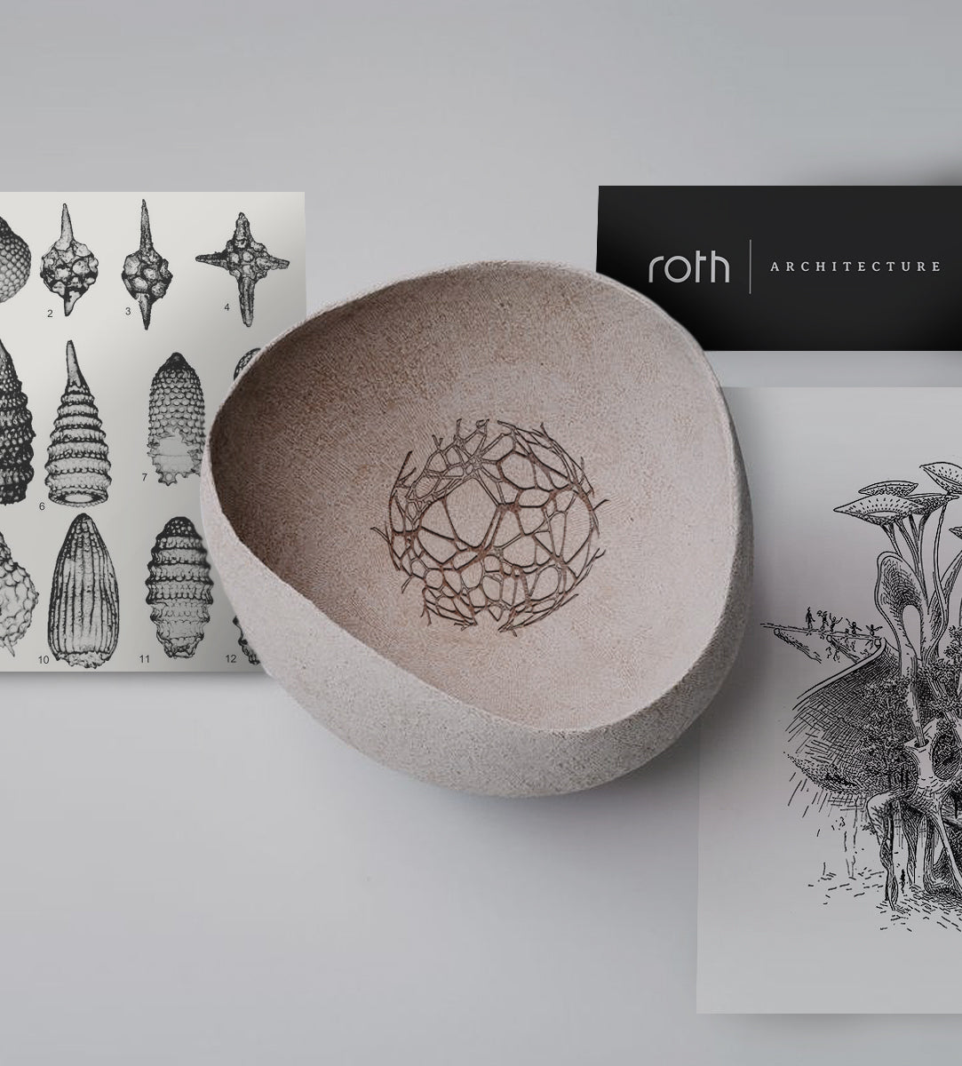 Roth Architecture®
